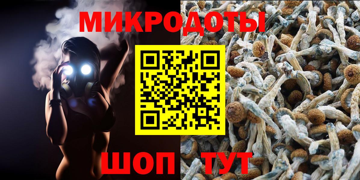 Псилоцибиновые грибы Psilocybe  Вход с VPN  Галлюциногенные грибы Cubensis  Урюпинск 